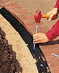 To install a brick border, lay bricks on a compacted bed of gravel and sand. Lock them in place with plastic edging.