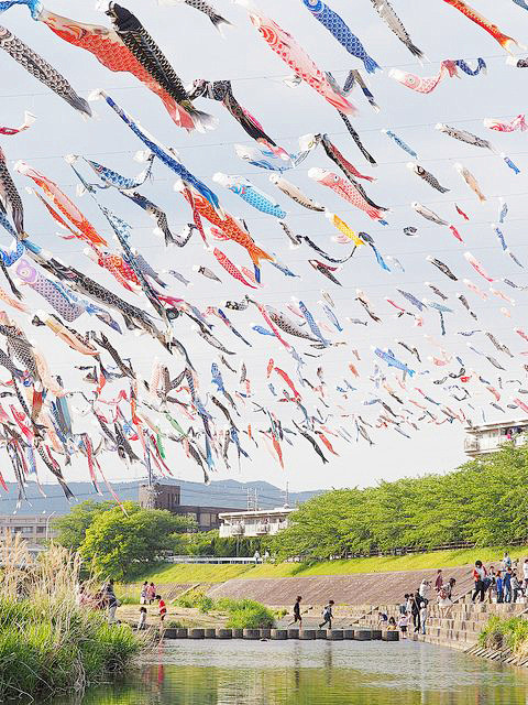 Koinobori on Childre...