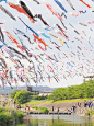 Koinobori on Children's Day, May 5th, Japan