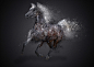 Horses around us : the project is a collection of artworks about the horse ,and the artists are from different Countries (USA , franc,,Russian Federation ,Colombia ,Finland ,Sweden ,Ukraine,spin , japan, Belgium )