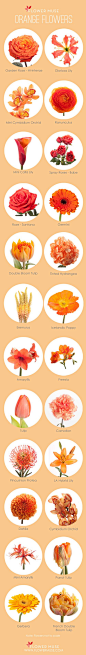 Our Favorite: Orange Flowers - more on Flower Muse blog: 