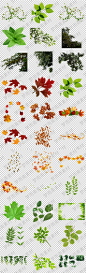 夏天秋天的树叶绿叶红叶png格式透明底免抠元素图片设计素材-淘宝网