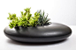 Collage With Nature — River Rock Ikabana Planter Kit Black large Succulents