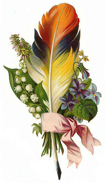 1883年復古羽毛花插圖