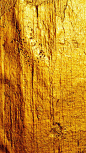 诺基亚C5-03手机壁纸黄金背景图片-中关村在线手机论坛