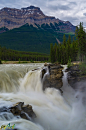 . : : Stunning Nature : : . / Athabasca Falls, picturesque waterfall in Canada | Amazing Snapz