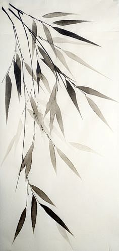 Bamboo leaves on whi...