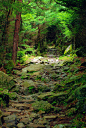 Great Smoky Mountains National Park hiking trail in North Carolina. Wilderness Campsites.