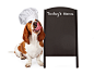 Dog Chef With Menu Chalkboard by Susan Schmitz on 500px