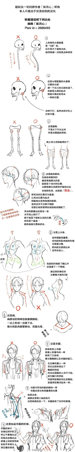 rambor_rambor采集到anatomy