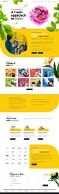 Web Design Melbourne | Custom Website Development Company