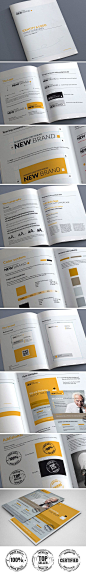 Brand Guidelines – 20 Pages Published by Maan Ali