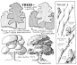 How to Draw Trees, Bark, Twigs, Leaves and Foliage Drawing Tutorial