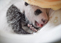 熊猫宝宝在繁育中心的首次群众见面会 - 治愈系图片 - 壹心理
