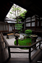【日式庭院】幽寂之美。