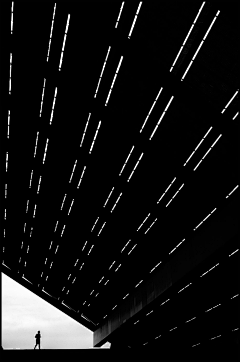 紫寒3116009781采集到Black and white