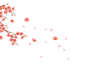 花png