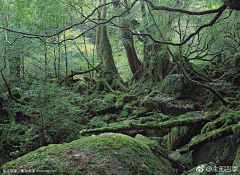 shinybay采集到自然场景景观及素材