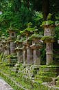 [石灯笼] 日本 奈良Kasuga Taisha神社的石灯笼