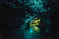 Glowworms Cave 萤火虫洞穴（新西兰）