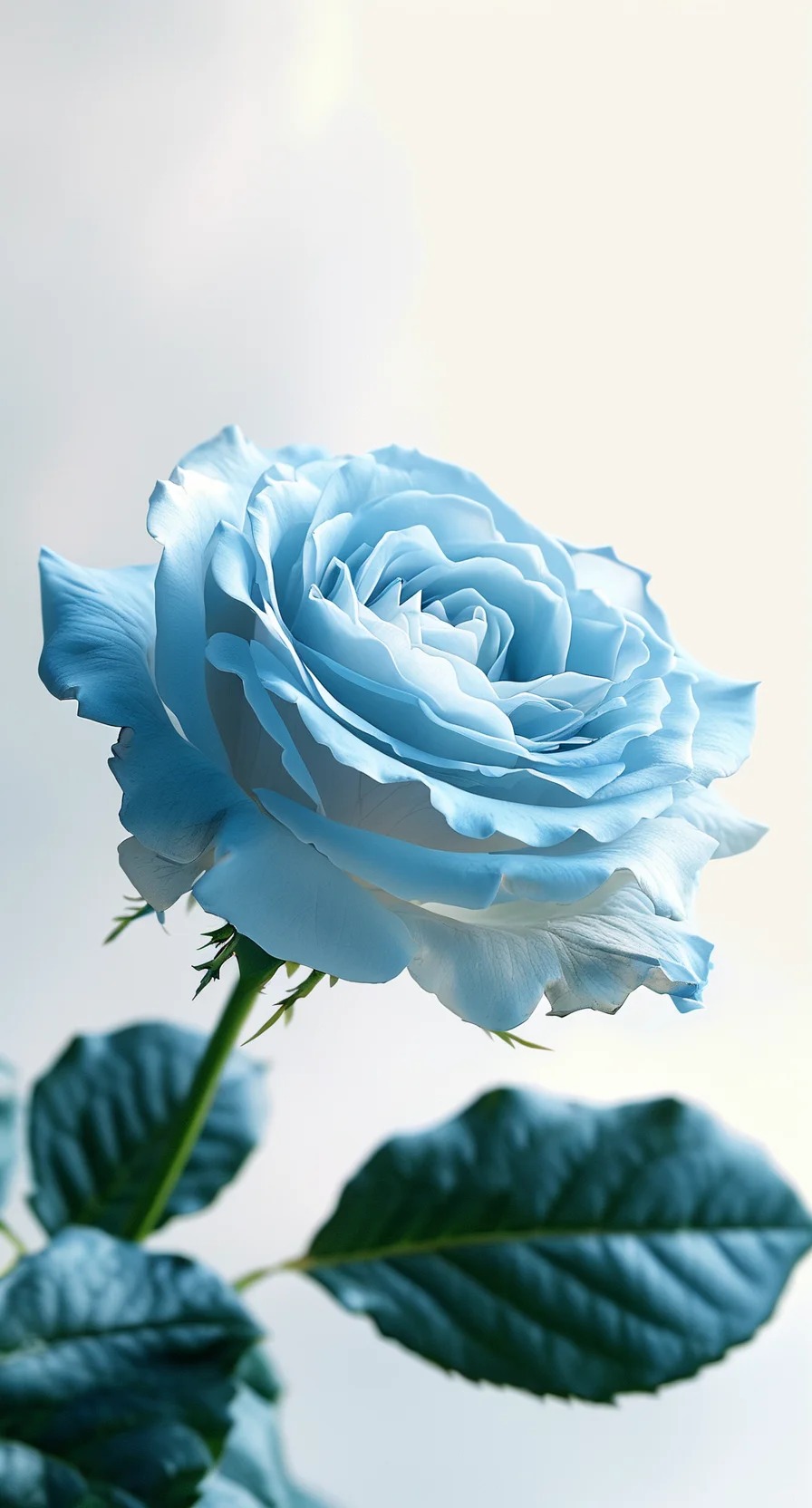 c7dfc0702ed698ec431d8ac62c3274e2e46316e12a064-lf7PUa