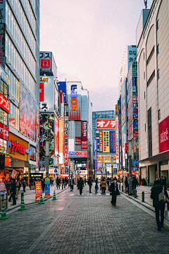 里雾采集到日本