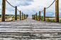 Photograph Road to the dunes by Paulo Gonçalves on 500px