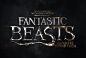 Fantastic Beasts and Where to Find Them (2016) : Fantastic Beasts and Where to Find Them (2016) photos, including production stills, premiere photos and other event photos, publicity photos, behind-the-scenes, and more.