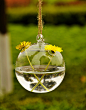 zakka 可悬挂玻璃花瓶 球型垂吊水培容器附麻绳