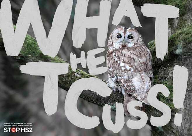 STOP HS2: Owl | Ads ...