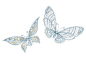 极致卓绝之美 华贵珠宝鉴赏 蝴蝶胸针

　　150多年以来，蝴蝶已是蒂芙尼最受欢迎的图案。珍珠和钻石的镶嵌理科令这款蝴蝶胸针灵气十足又极富优雅。
