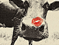 #cow#,#kiss#