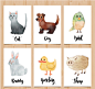 6款水彩绘动物卡片矢量素材,猫,狗,鸟,兔子,鸭子,绵羊,木板,水彩,动物,卡片,矢量图,AI格式