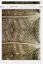Pin by Tito Graffe on Shapes, Lines & Curves | jebiga.com | | Pintere…