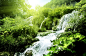 美丽瀑布风景 图片素材(编号:20140419083700)-自然风景-自然景观-图片素材 - 淘图网 taopic.com