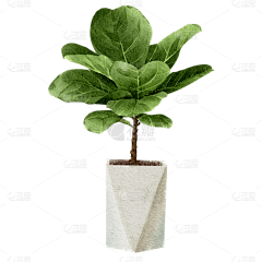 花瓣素材采集到绿植免抠元素