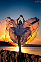 amazing sunset fashion photo