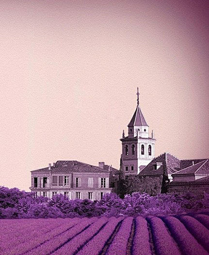 普罗旺斯的梦幻城堡，成片的紫色薰衣草，传...