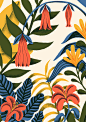 Botanica : Print made for Atelier des Jeunes.