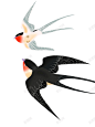 两只燕子清新立春春分节气插画高清素材 免抠 免费下载 页面网页 平面电商 创意素材 png素材