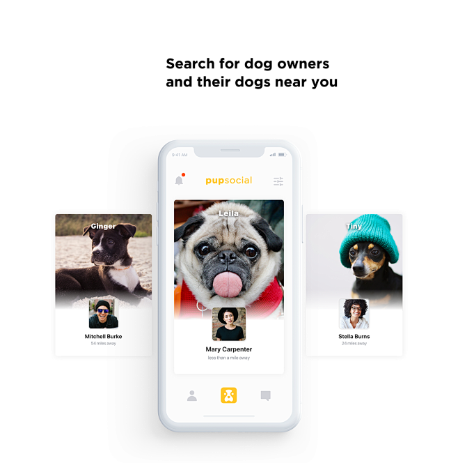 PupSocial. Platform ...