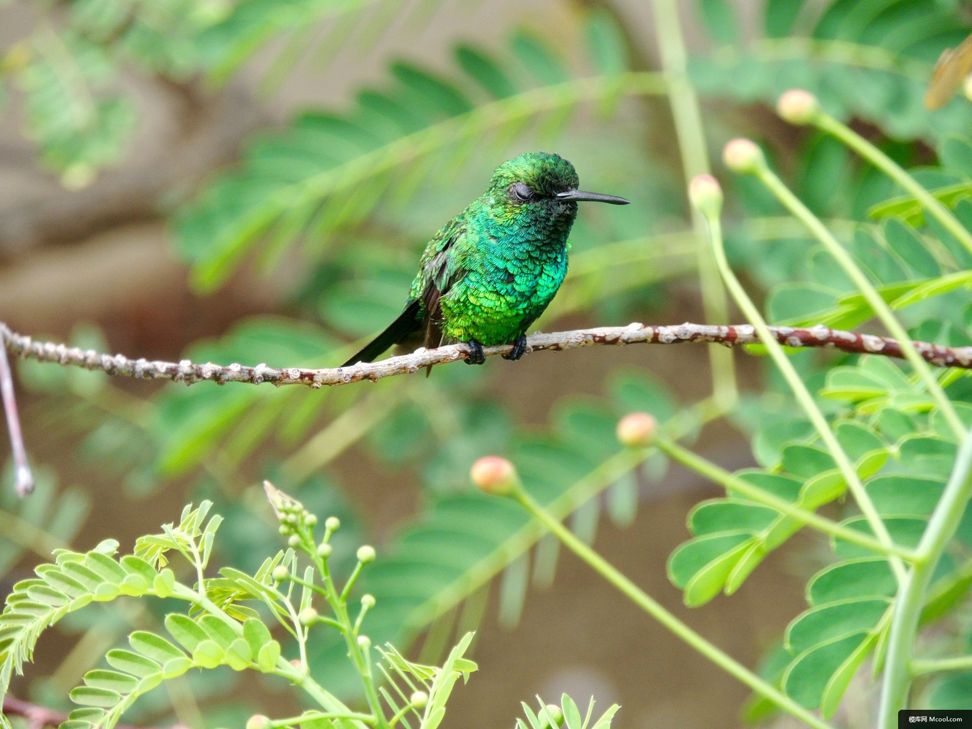 c88dfdebeff1ca3d268aa4338df0a53daf882dc34b819-Dxk0hY