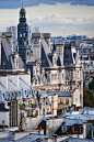  Hotel de Ville, Paris  | by © Darrell Godliman