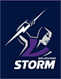 Aussie Rugby Team Melbourne Storm Reveals New Logo - Logo Designer