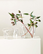 GLASS/ beautiful olive sticks in glass vase