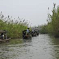 老年团--华东六市、常熟沙家浜送水乡乌镇 双卧七,北京到上海旅游线路