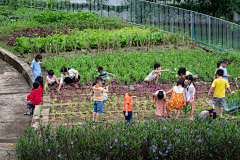 酸黄瓜采集到花园广场