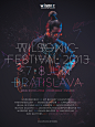 WILSONIC FESTIVAL 2013 Campaign & Short Movie : Campaign for Wilsonic Festival 2013.