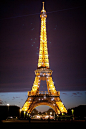  (660×990) 埃菲尔铁塔夜景。