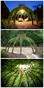 Living willow structure #Garden, #Structure, #Willow
